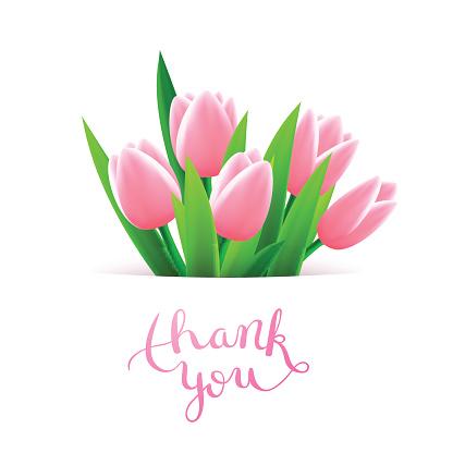 istockphoto-502737402-170667a_1763408432.jpg