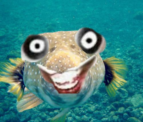 jeff-the-fish-by-stichedandpatched-da64nas-fullview_1774841187.jpg