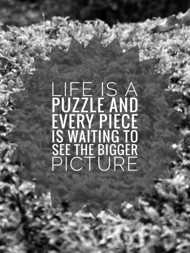 lifeiapuzzle_1699803501.png