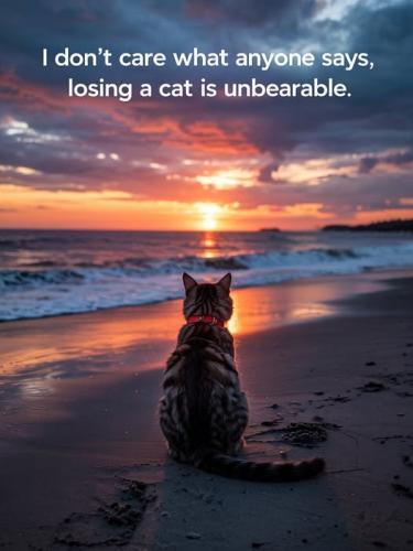 losing-a-cat_1761705013.jpg