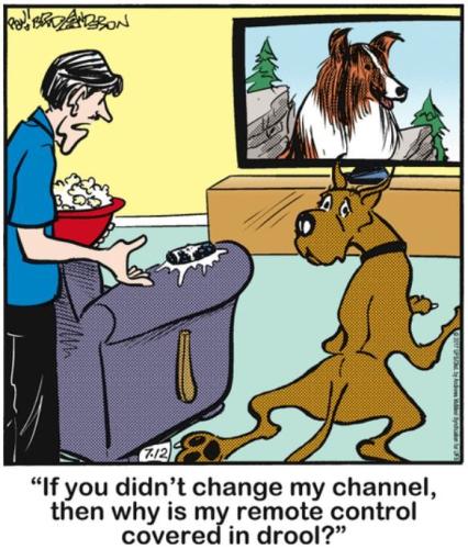 marmaduke-changes-the-channel-to-lassie-3662282487_1786562514.jpg