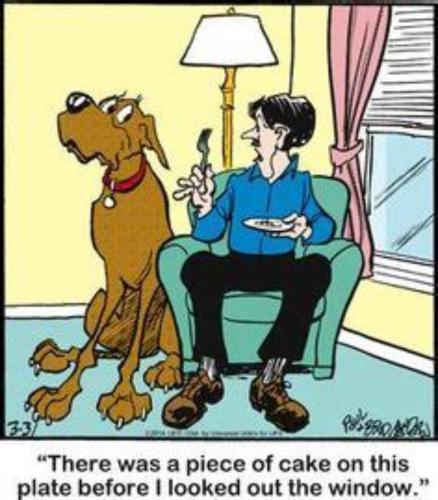marmaduke_1784552340.jpg