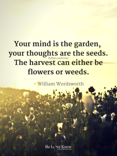 mind-is-a-garden_1788105303.png