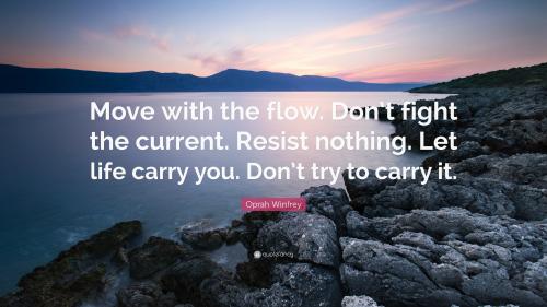 move-with-the-flow-don-t-fight-the-current_1788122509.jpg