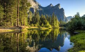 nature_1701676371.jpeg