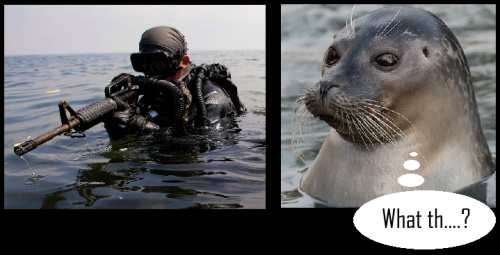 navy-vs-seal_1786846094.png