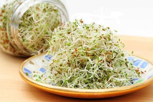 noderog-sprouts-5820c37c3df78cc2e8907ebe_1719626055.jpg