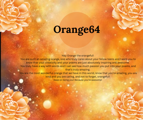 orange64-2_1743954647.png