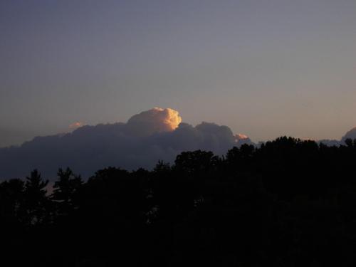 p1010217_1735704408.JPG