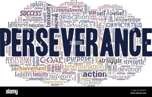 perseverance_1788623797.jpg