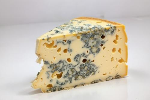 piece-cheese-with-mouldy-white-table-981499-546_1765932435.jpg