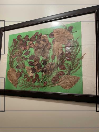 plant-art-001_1696026546.jpg
