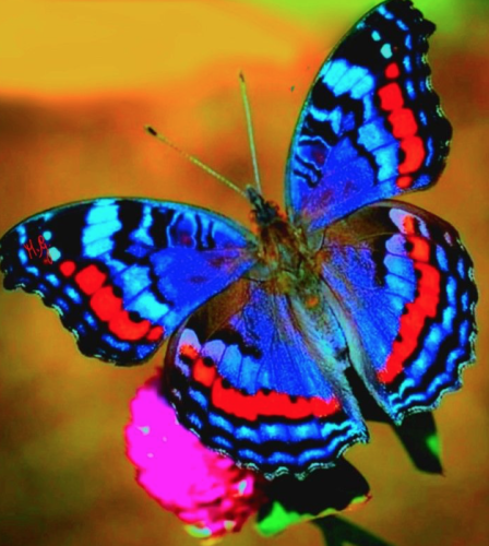 screen-shot-2023-03-25-at-7-54-02-am_1679745413.png