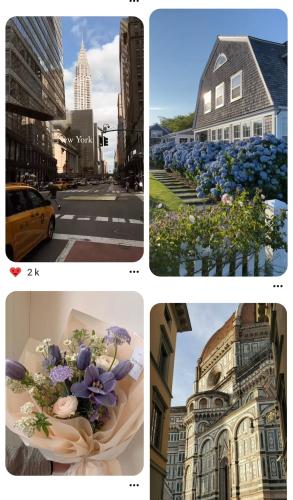 screenshot-20240121-174304-pinterest_1705855428.jpg