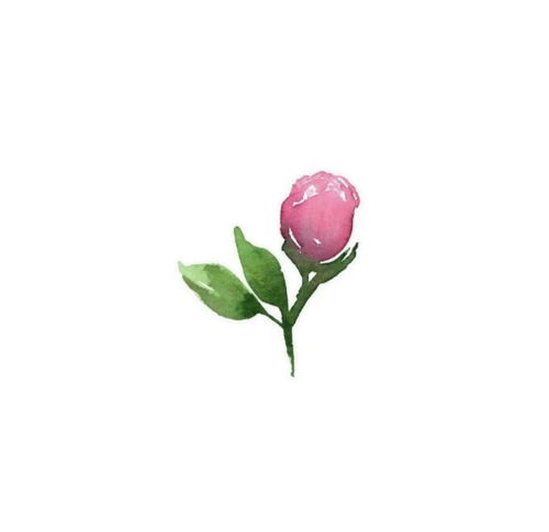 screenshot-2025-12-09-at-9-36-51-am_1765291070.png