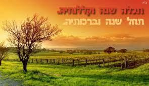 shana_1704058325.jpg