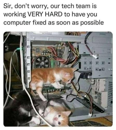 sir-dont-worry-our-tech-team-is-working-very-hard-have-computer-fixed-as-soon-as-possible-ggu-u_1775670177.jpeg
