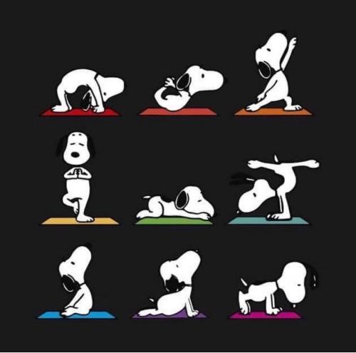 snoopy-yoga_1783517676.jpg