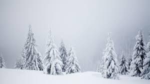 snowmkay_1701680314.jpeg