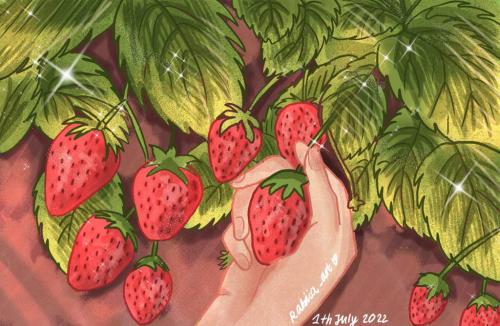 strawberries_1691149779.jpg
