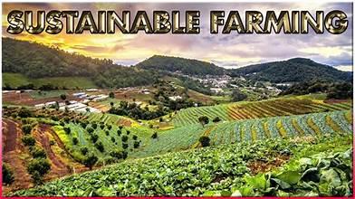 sustainable-farminf_1743959888.jpg