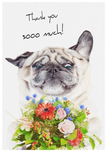 thank-you-sooo-much-51835-52_1758483874.jpg