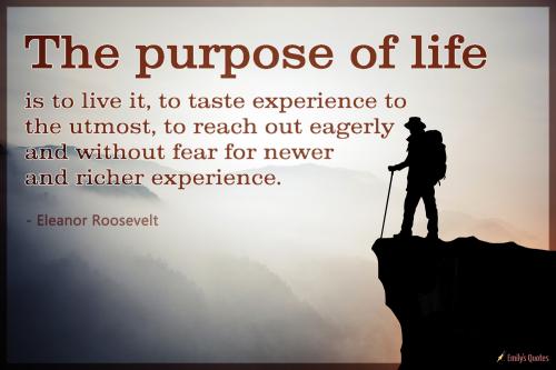 the-purpose-of-life-is-to-live-it-to-taste-experience-to-the-utmost_1786835793.jpg
