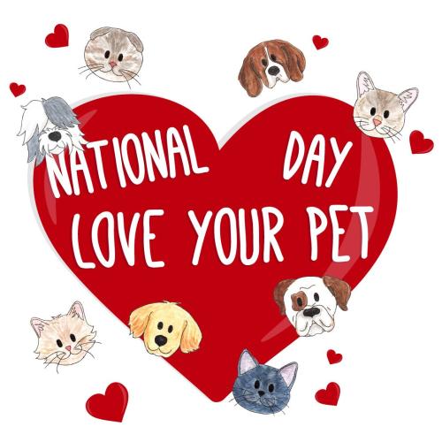 thumbnail-cover-blog-post-national-love-your-pet-day_1676886325.jpg