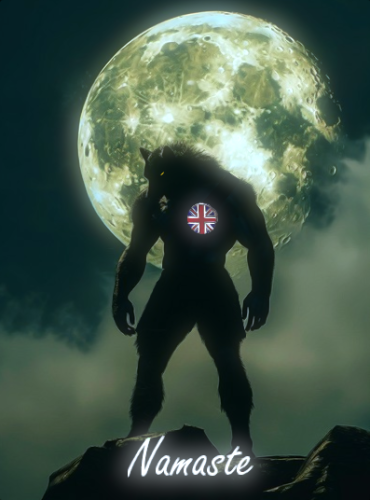 timmywolfie_1786602789.png