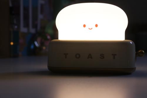 toaster-lamp-iso-250_1775415696.jpg