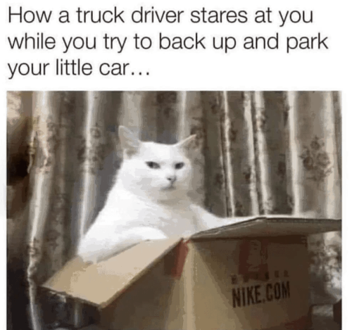 truck-driver-stares-at-while-try-back-up-and-park-little-car-40-nikecom_1775669881.png