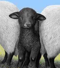 How can I change how my family feels about me? I'm treated like the black sheep.