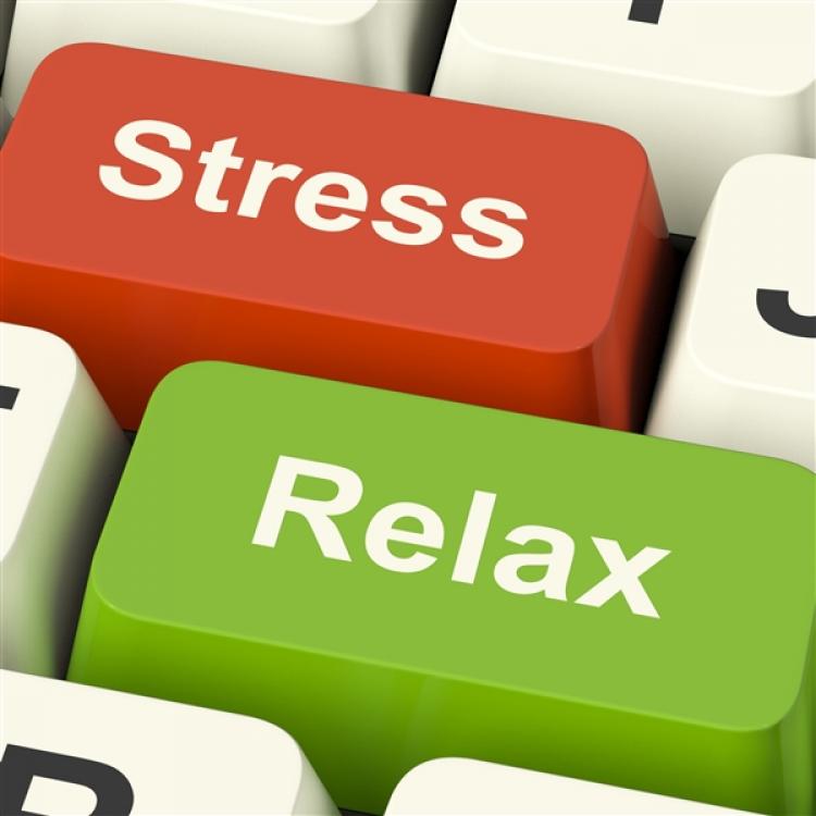 How do I handle this stress in a healthy way? Expert answers & advice.