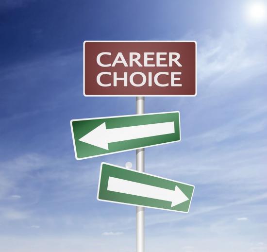 What's the better career for someone with bipolar disorder?