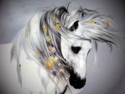 User Profile: SilentSerenityy
