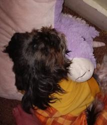 User Profile: jennysunrise8