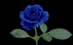 User Profile: raphael86