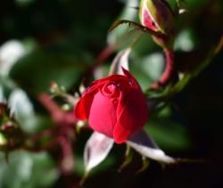 User Profile: gentleLove04