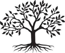 User Profile: AsherTree