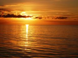 User Profile: RisingSunset225