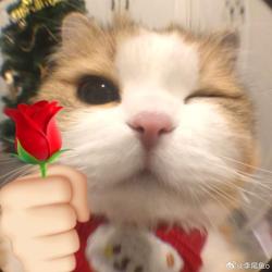 User Profile: Minlotte42811