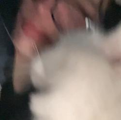 mimi1919 profile picture