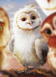 Owlie profile picture