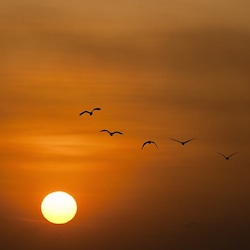 Iaminnercurrent profile picture