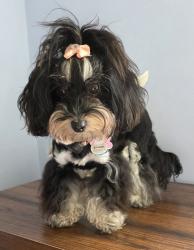 KelleyBee profile picture