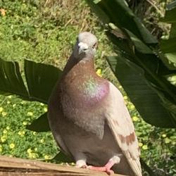 User Profile: KindForest2094
