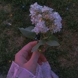 User Profile: joyfulMagic1683
