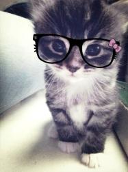 User Profile: ilik3c4ts