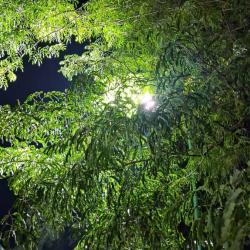User Profile: happyPerspective860