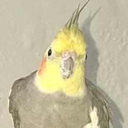 User Profile: virtualhugsanytime